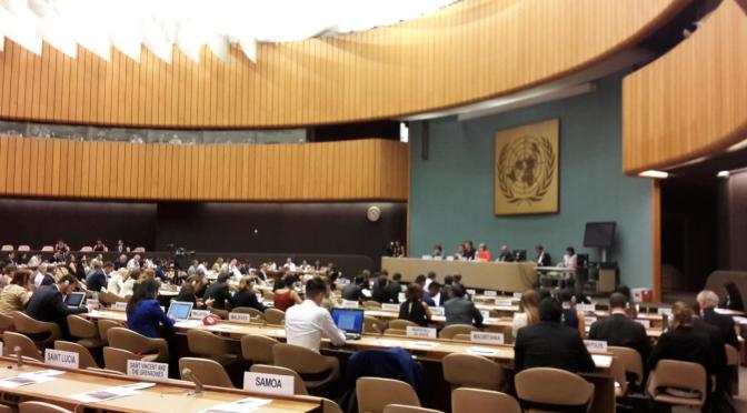 CERiM Member Natasja Reslow participates in session on Migration Governance at United Nations in Geneva
